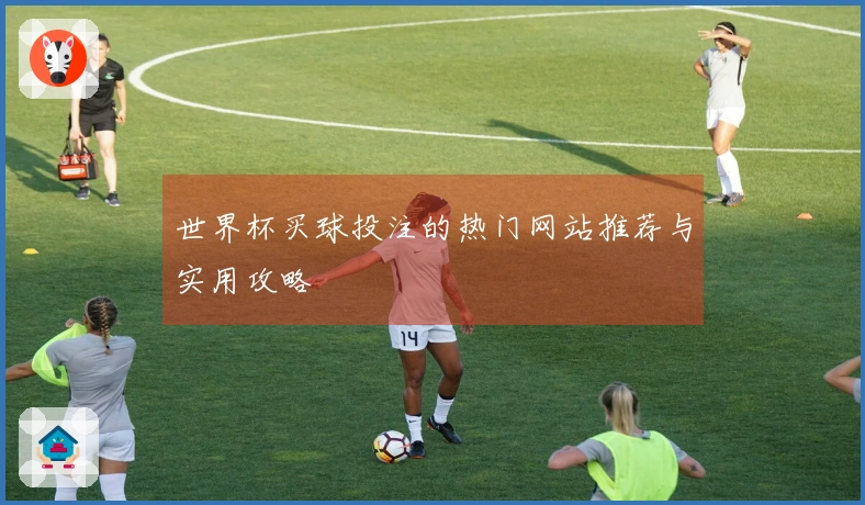 世界杯买球投注的热门网站推荐与实用攻略
