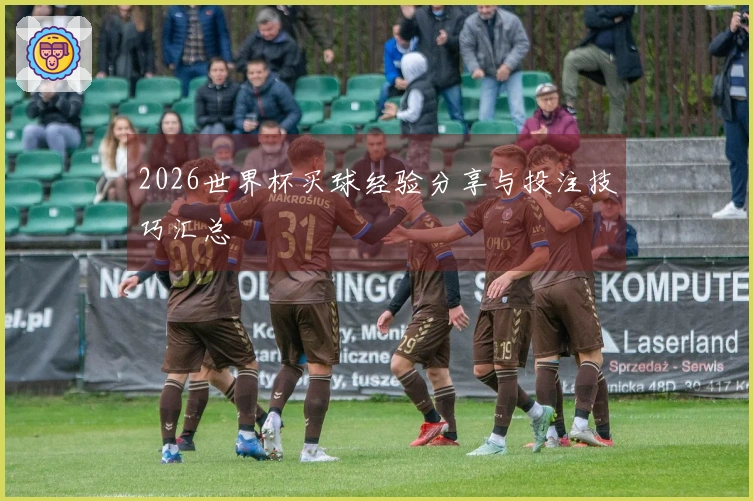 2026世界杯买球经验分享与投注技巧汇总