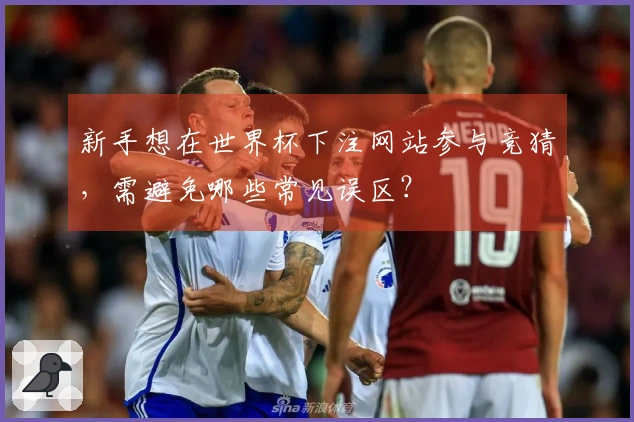 新手想在世界杯下注网站参与竞猜，需避免哪些常见误区？