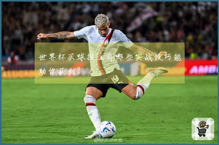 世界杯买球投注有哪些实战技巧能助你获利？