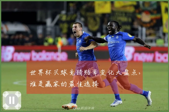 世界杯买球竞猜赔率变化大盘点，谁是赢家的最佳选择